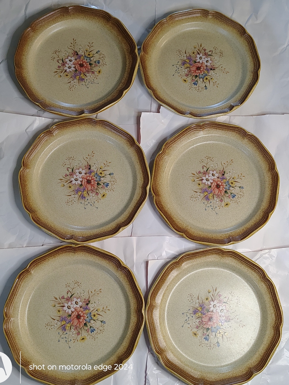 Mikasa Beige and Brown Floral Stoneware Dinner Plates (Set of 6)